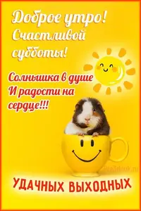 20231114_084419_663.webp