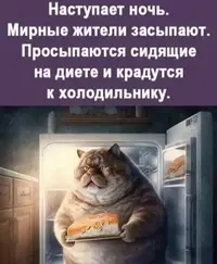 IMG-20231118-WA0002.webp