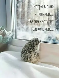 imgonline-com-ua-Resize-mjhMwnKk2XJjcDp.webp