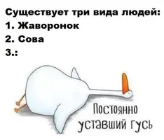 PI_nSzHVA_U.webp