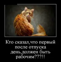 1200-4.webp