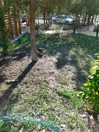 imgonline-com-ua-Resize-4mMYRhwgZ2KF.webp