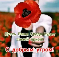 7C3FD470-28A9-423C-B3A9-01E201398C55.webp