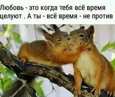 20231119_144311_620.webp