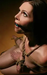E015B9DE-DE6C-41CF-A222-67961AC2C4C2.webp