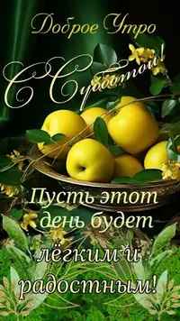 IMG_1690.webp