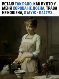 1698201789164563890.webp