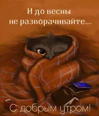 2023220547_532.webp