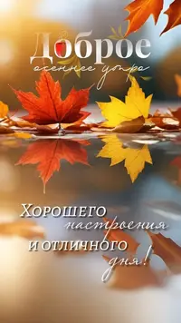 IMG_1692.webp