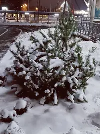 20231126172950.webp