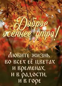 IMG_1694.webp
