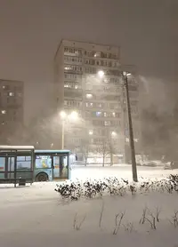 20231127_191009.webp