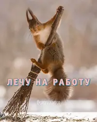 2023160301_892.webp