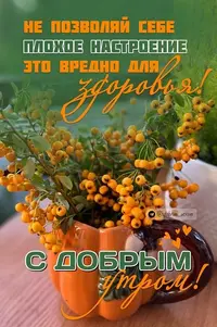 20231116_072815_746.webp