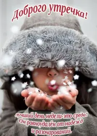 2FA16A2E-2EB3-46DC-8595-970EFC8B75F8.webp
