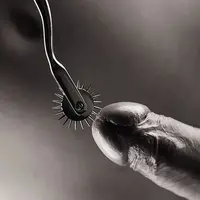 yqciIW1nPNw.webp