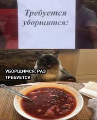 1701268542120986622.webp