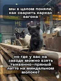 1701348411156887961.webp
