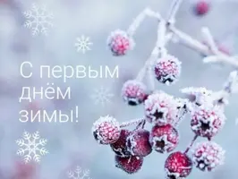 5455C540-D820-4CF4-8190-628046786627.webp