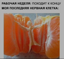 Screenshot_2023-12-01-16-13-57-10_68e74cc0265513bba3f4cf8e2c9891fe.webp