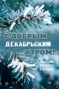 IMG_1717.webp