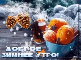 1200-2.webp