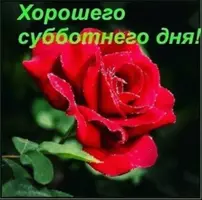 BF0DA925-F34B-42B3-BB48-0B7DFA51B36B.webp