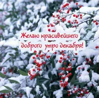 F7EDA59E-2FDB-4C7E-B96A-85C3CD45E87A.webp