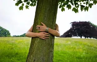 C18164B3-5594-487E-BD90-6D42BAAB39B9.webp