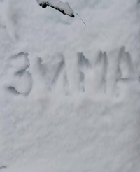 з.webp