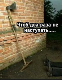 Screenshot_2023-12-07-19-24-23-24_68e74cc0265513bba3f4cf8e2c9891fe.webp
