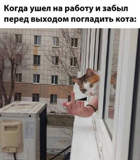Screenshot_2023-12-08-15-12-44-33_68e74cc0265513bba3f4cf8e2c9891fe.webp