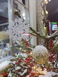 20231209172812.webp