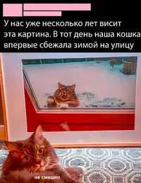 _DVQlFPuWDg.webp