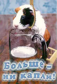141105516_Ni_kapli_bolshe (1).webp