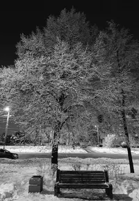 20231208_185914.webp