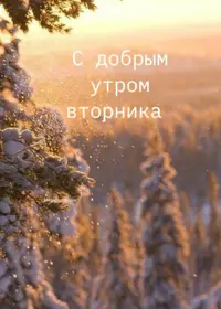 0C6F4968-1996-4491-847A-99B8E1574164.webp