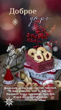 51.webp