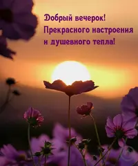 86B48753-B8D6-42A4-BEA2-066D931B33D1.webp