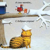 E13E0717-D005-4E91-BD62-E6C95C7D131F.webp
