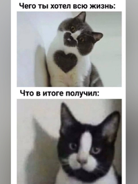 Screenshot_2023-12-14-12-53-02-00_68e74cc0265513bba3f4cf8e2c9891fe.webp
