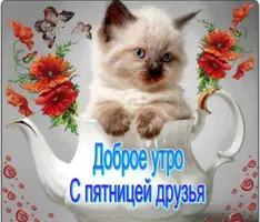 1D2FCCFD-968A-4A32-9358-AD463EBFEDAC.webp