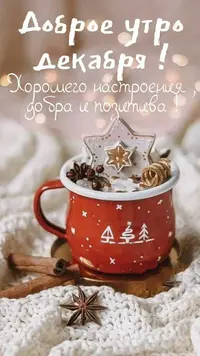 IMG_1805.webp