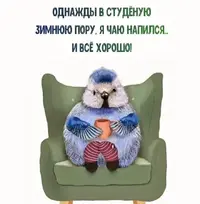 410135125_1085535119300907_5249544751015220871_n.webp.webp