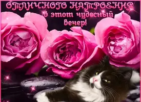 DF0290C7-AAC4-4587-8D21-E7D9D9F36AD0.webp