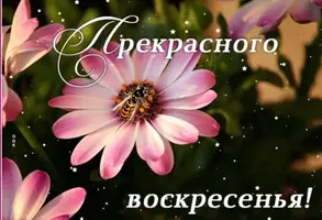 000959CF-535E-48C7-AF67-184672945128.webp