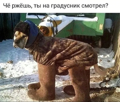 Screenshot_2023-12-18-04-57-25-99_68e74cc0265513bba3f4cf8e2c9891fe.webp