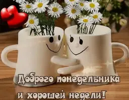 68155499-9995-45FA-975C-BF4B25B850D1.webp