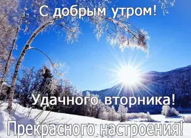 E50BCE62-1103-4D8B-8E35-38F04524D207.webp