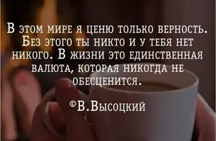 FB82A7F8-90CA-41C8-9345-936D9F657228.webp